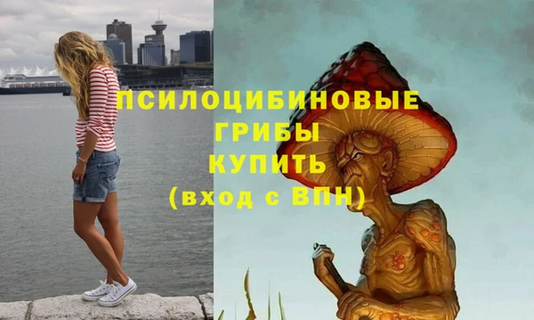 круглые Дмитриев